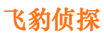 莱山市侦探调查公司